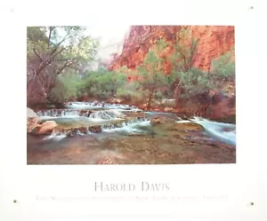 HAROLD DAVIS Havasu Grand Canyon ~ hochwertiger Wasserfall Fotodruck 32x26 - Bild 1 von 10