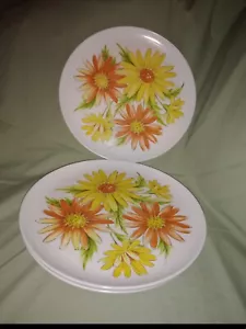 Mid Century Modern Miramar Melmac Flower Power Dinner Plates Set Of 4 - Picture 1 of 5