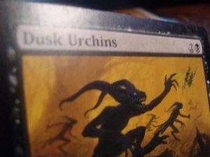 Dusk Urchins x1 Shadowmoor - Bild 1 von 6