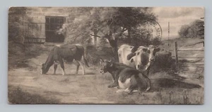 Postkartengemälde Kühe ungewöhnliche Kartengröße um 1912 - Bild 1 von 2