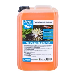 6.500 ml bacterias de ácido láctico / bacterias de filtro para peces koi y estanque flotante - Imagen 1 de 2