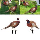 Eye catching Chicken Garden Decor Acrylic Pheasant Yard Ornaments 2pcs