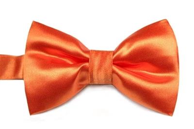 Satin Bow Tie  Adult, Baby ,Toddler, Boys .Teens for Wedding Formal Tuxedo Suit - Image 1 of 2
