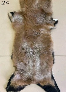 Highland Mountain Mouflon Aries Pelt Skin Hide Fur Taxidermy Home Decor 6/20 - Picture 1 of 1