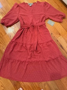 Neu mit Etikett Lark + Grey Damen rostfarbenes gerafftes 3/4-Ärmel Midikleid Größe Large-188 - Bild 1 von 2