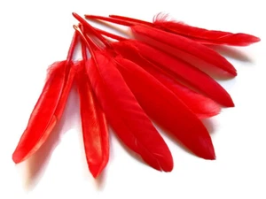 40 Federn - rot gefärbte Ente Cochettes Cosse lose Flügel Feder Karneval Kostüm - Bild 1 von 11
