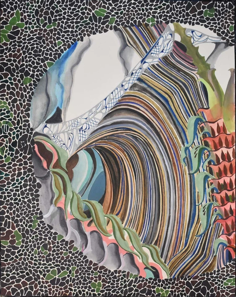 Plantas psicodélicas abstractas túneles piedra tinta sobre papel 14 x 18 Foto 1 de 1