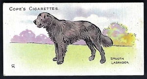 COPE - DOGS OF THE WORLD (ENGLISH) - #48 SMOOTH LABRADOR - Picture 1 of 2