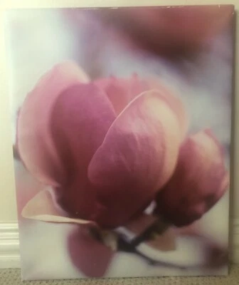 Ikea "Tulip Tree" Photographic Paper Print on Wood Stretcher 15 1/4" x 19 1/4"  - Image 1 of 4