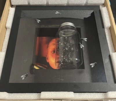 ALICE IN CHAINS JAR OF FLIES 30TH ANNIVERSARY BOX SET WITH TRI COLOR VINYL NEW - Image 1 of 4