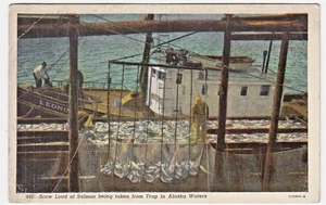 c1940s Scow Load of Salmon from Trap in Alaska Waters ~ Vintage Fishing Postcard - Picture 1 of 2