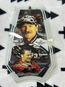 Panel de lámpara táctil de vidrio único de repuesto Dale Earnhardt Sr & Dale Earnhardt Jr - Imagen 1 de 12