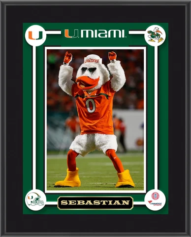 Hurricanes Sebastian Mascot Sublimated 10.5x13 Plaque - Fanatics Cover