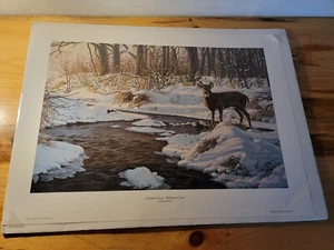 1994 Frank Mittelstadt  Signed Print 122/450 Cardinal Nature 24" x 16" - Picture 1 of 11
