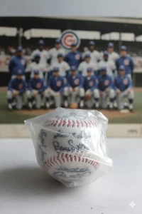 1976 Chicago Cubs squadra baseball stampa autografi vintage MLB souvenir - Foto 1 di 4