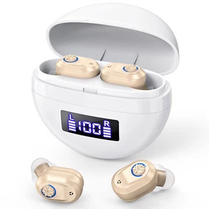 Digital Rechargeable Hearing Aids For Seniors Invisible In Ear Sound Amplifiers - Picture 1 of 7