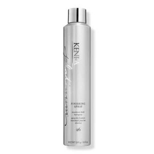 Platinum Finishing Spray 26 - Picture 1 of 2