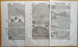 Ingelheim Offerburg Elbwangen Pforzheim 6 Blatt - Münster Cosmographia 16. Jhd. - Bild 1 von 6