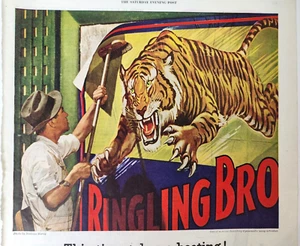 Ringling Brothers Circus Tiger American Cyanamid Vintage 1940 Magazine Print Ad - Picture 1 of 6