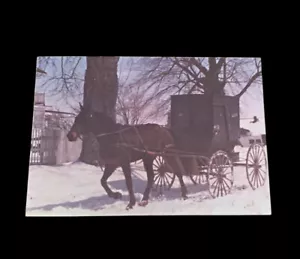 AK Amish Buggy Pferd Schnee kostenloser Versand unbespielt A 15 - Bild 1 von 2