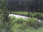 20 Acre Grand Lake Mining District Placer Gold Mining Claim, Willow Creek, CO