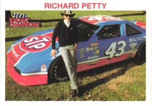 1989-92 Racing Champions Stock Car #1125 Richard Petty Petty Enterprises - Picture 1 of 2