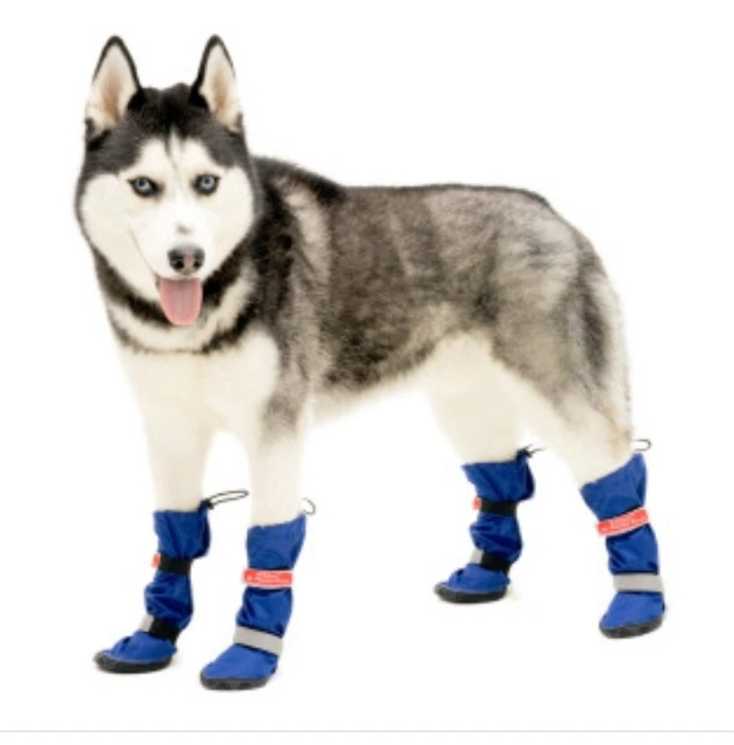 Juego de 4 botas para todo tipo de clima Walkin Pets. Nuevo con etiquetas. AZUL Foto 1 de 1