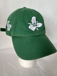 Cappello da baseball Trillium Brewing Co berretto snapback 6 pannelli tela verde Greenway - Foto 1 di 8