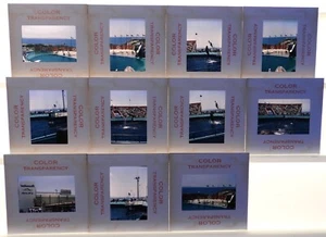 Foto DIAPOSITIVAS De Colección Años 60 Temática Parque Marino Marineland of the Pacific - Imagen 1 de 4
