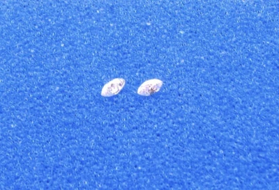 Natural Marquise Diamonds  2 Pcs 0.11 Ct Tol  G / VS  3.1x1.8,  3.1x1.9  MM LxW - Image 1 of 4