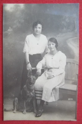 Orig. Foto Postkarte Mädchen Bürgertum Hund Dog Cane Schäfer Waidhofen um 1918 - Bild 1 von 4