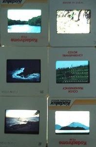 6 Original Vintage 35mm Kodak Photo Color Slide Nature Kodachrome Transparency - Picture 1 of 10