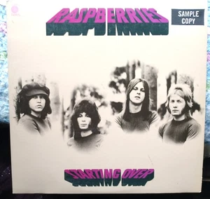 RASPBERRIES STARTING OVER ERIC CARMEN SAMPLE COPY VINYL NM WITH POSTER - Picture 1 of 3