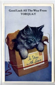 (Gc5115) Tarjeta extraíble, gato negro, buena suerte, Torquay, c1920 - Imagen 1 de 4