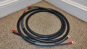 Coincident Speaker Technology CST Interface 6 FT Pair of Speaker Cables - Picture 1 of 4