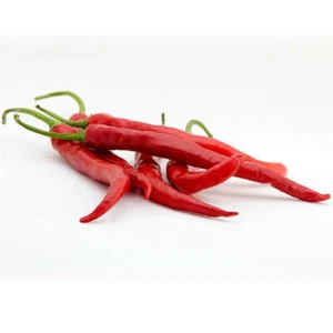 100 Red Cayenne Chilli seeds - Picture 1 of 2