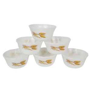 Set Of 6 Fire King Milk Glass Custard Cups With Wheat sheafs 6oz Made in USA - Picture 1 of 6