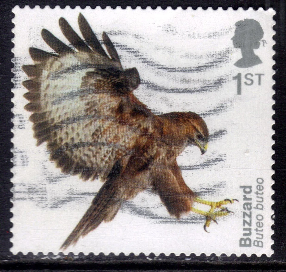 GB 2019 QE2 1st Birds of Prey Buzzard used Self Adhesive CV £15 SG 4210 ( G378) - Image 1 of 1