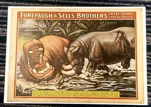 Forepaugh & Sells Brothers Great Shows Consolidated 1960 circus world museum - Picture 1 of 3