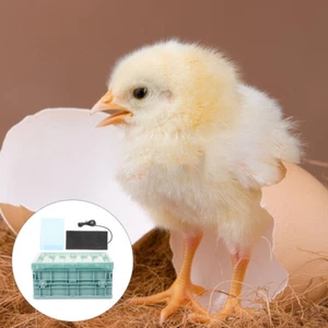 Birds Heated Brooder Incubator Chicks Accessory for Parrots - Picture 1 of 12