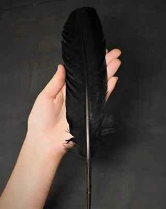 Black Turkey Feathers, Smudging Feather, Feathers For Smudging or Decoration - Picture 1 of 3