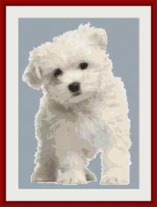 Kit de punto de cruz para perro maltés - Imagen 1 de 2