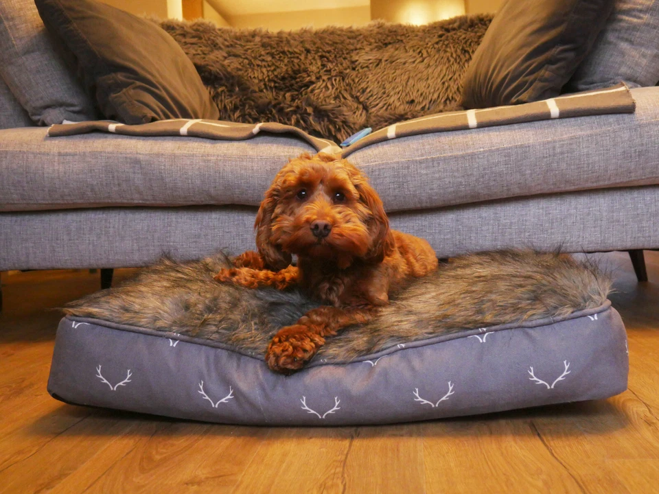Rosewood Festive Antler Hygge Cosy Fur Lined Mattress Dog Bed - Imagem 1 de 4