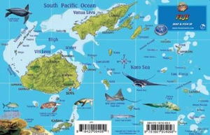 Fiji Map & Coral Reef Creatures Guide Waterproof Fish Card by Franko Maps - Picture 1 of 2