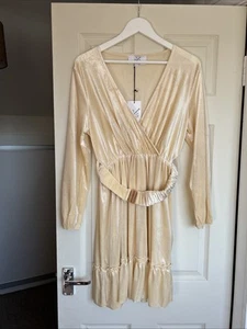 JS Millenium Pale Gold Velveteen Dress Me Size Large - Picture 1 of 4