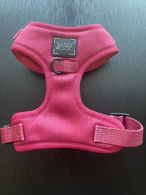 Sassy Woof Dog Harness Hot Pinkish Includes Leash. XS New W/o Tags - Image 1 of 4
