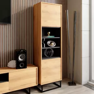 Loft I Retro I Industrial I Display Cabinet I Sideboard I Vintage Oak I Cupboard - Picture 1 of 4