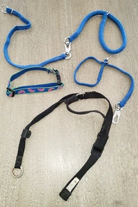 COLLAR CORREAS PERRO PEQUEÑO CANINO MASCOTA NEGRO CAMINAR NECESITA SANDÍA ¡LINDO! - Imagen 1 de 1
