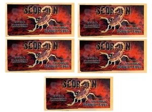 Broma de huevos de escorpión CZ Grain (paquete de 5) - La gente se estremece. Cosas de broma para adultos - Imagen 1 de 3