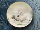 Crown Staffordshire Wildlife In Winter Tranquility Collector Plate Bunnies, 23cm